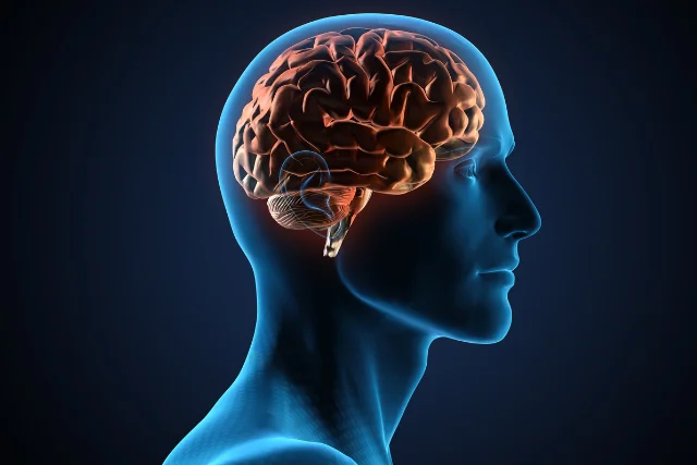 NEUROLOGY